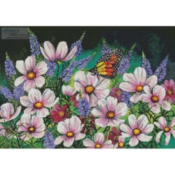 Pink Cosmos (Val Stokes)