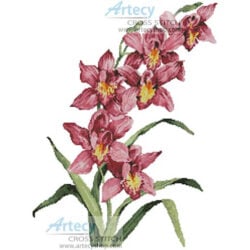 Pink Cymbidium (Joy Waldman)