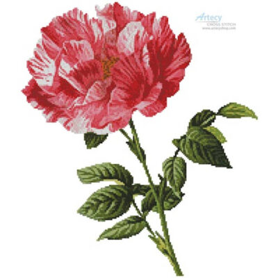 Pink Floral (Kaz - Pixabay)