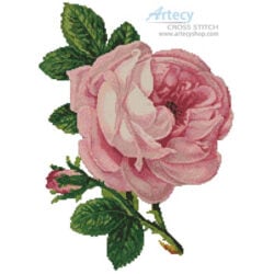 Pink Rose and Bud (Vintagerio)