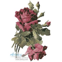 Pink Roses 3
