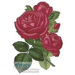 Pink Roses 4
