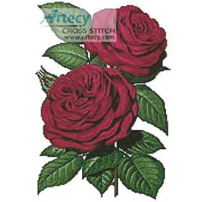 Pink Roses 5