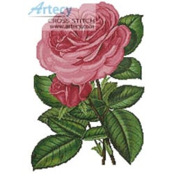 Pink Roses Print