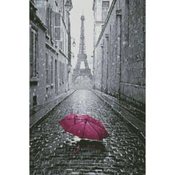 Pink Umbrella in Paris (Cranach - Fotolia)