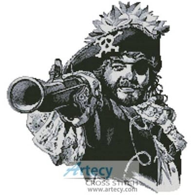 Pirate 2 (www.liquidlibrary.com)