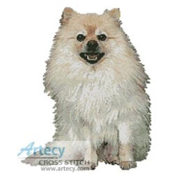 Pomeranian