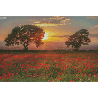 Poppies Sunset (Large) (Derek Mack)