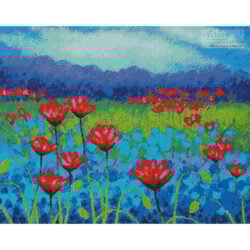 Poppy Study (John Nolan)