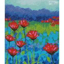 Poppy Study (Crop) (John Nolan)