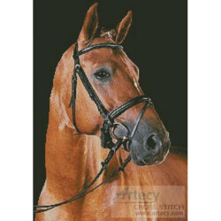 Portrait of a Brown Horse (Lea Roth - Corbis)