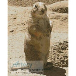 Prairie Dog (Just Chaos)