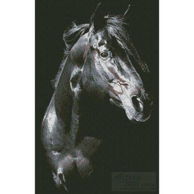 Private Dreamer Stallion (Mackenzie Szabo)