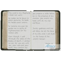 Psalm 23