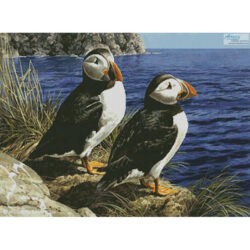 Puffin Couple (Carl Brenders)