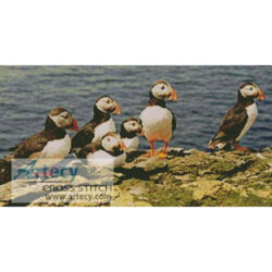 Puffins 2 (Els)