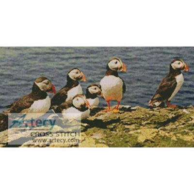 Puffins 2 (Els)