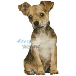 Puppy 2 (www.photostogo.com)