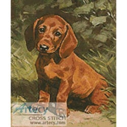 Puppy
