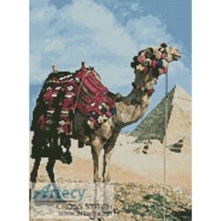 Pyramids and Camel (www.photos.com)