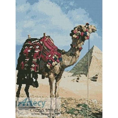 Pyramids and Camel (www.photos.com)