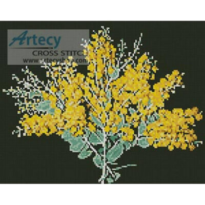 Queensland Silver Wattle (OzPhoto)