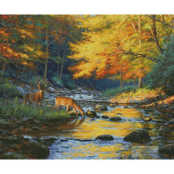 Quiet Encounter (Mark Keathley)