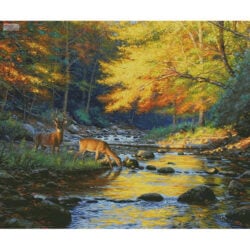 Quiet Encounter (Large) (Mark Keathley)