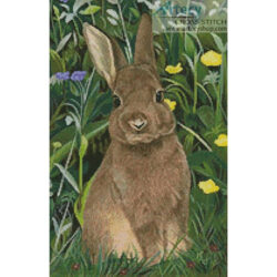 Rabbit Painting (Karie-Ann Cooper)