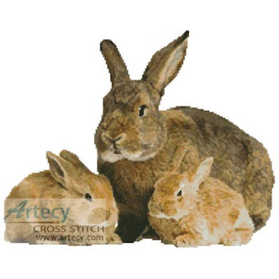 Rabbits (www.photostogo.com)