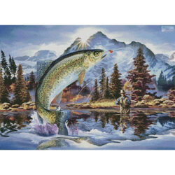 Rainbow Trout (Howard Robinson)