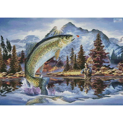 Rainbow Trout (Howard Robinson)