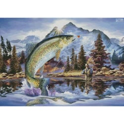 Rainbow Trout (Large) (Howard Robinson)