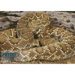 Rattlesnake (www.photostogo.com)