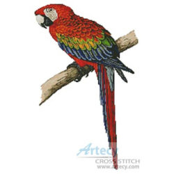Red and Blue Macaw