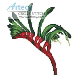 Red and Green Kangaroo Paw