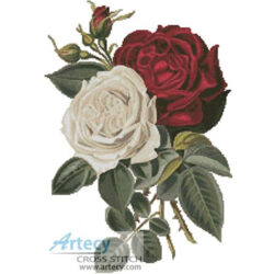 Red and White Roses Bookmark