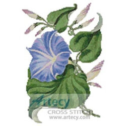Reddish Blue Morning Glory (Fine Rare Prints)
