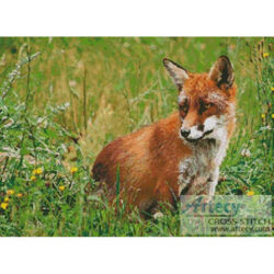 Red Fox (Malene Thyssen)