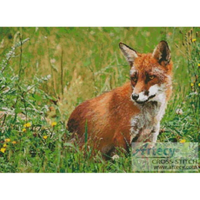 Red Fox (Malene Thyssen)