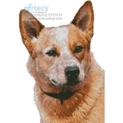 Red Heeler (Eva Holderegger Walser)
