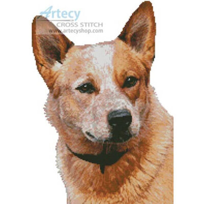 Red Heeler (Eva Holderegger Walser)