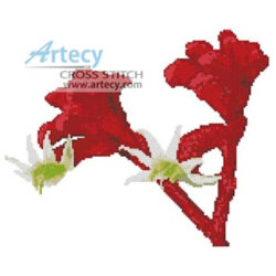 Red Kangaroo Paw