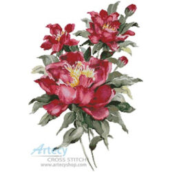 Red Peonies (Joy Waldman)
