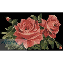 Red Roses 1