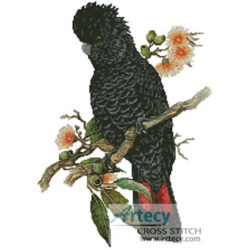 Red Tailed Cockatoo (Creek's Bend Country Retreat)