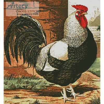 Rooster 1