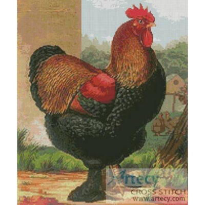 Rooster 2
