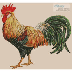 Rooster (Jean Plout)