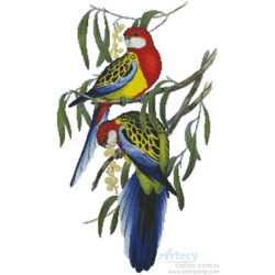 Rosehill Parakeets (John Gould)